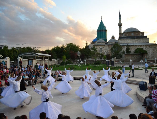 shutterstock_2393519127 (1).jpg