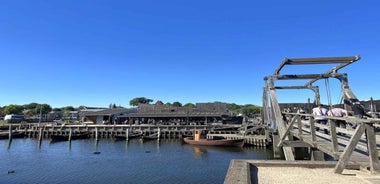 Copenhagen: Tour of Roskilde, the Viking city in Spanish