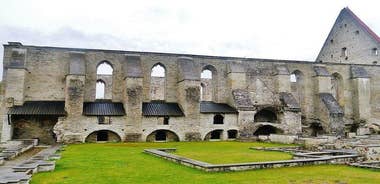 Private Tour: Highlights of Tallinn with Kadriorg and Pirita