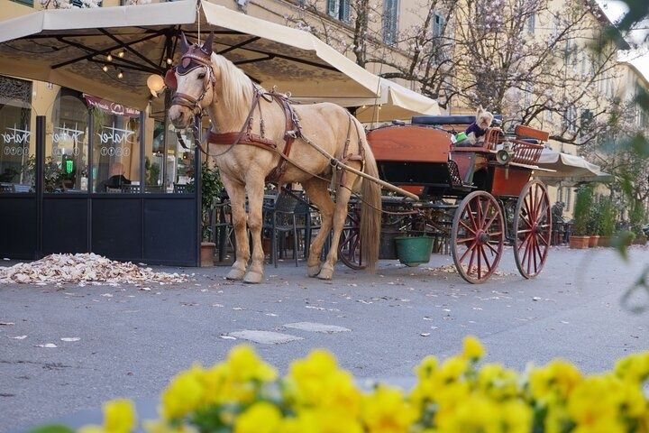 Horse-drawn carriage parked by a cozy European cafe with blooming yellow flowers in the foreground..jpg
