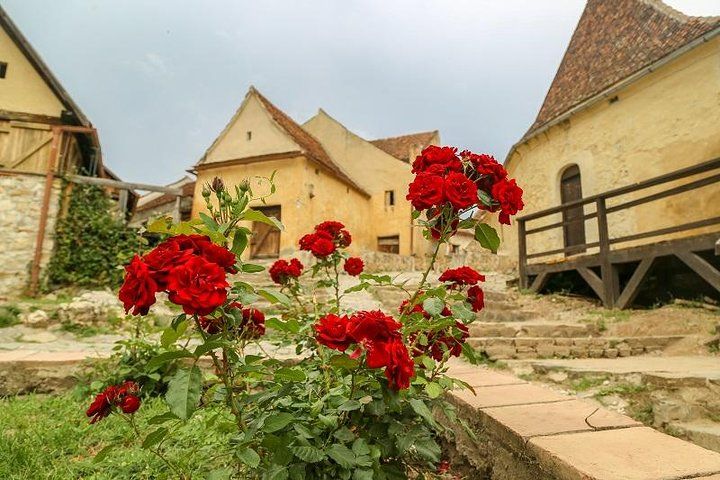 Excursion au château de Bran et à la forteresse de Râșnov avec visite facultative du château de Peleș