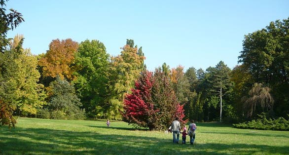 photo of view of Szarvas Arboretum Nature Reserve, Szarvas, Hungary.