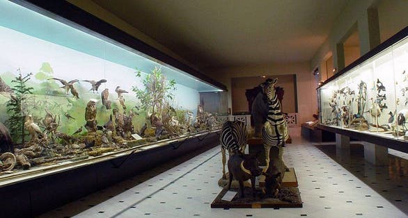 photo of Goulandris Natural History Museum is magical place for children, Greece.