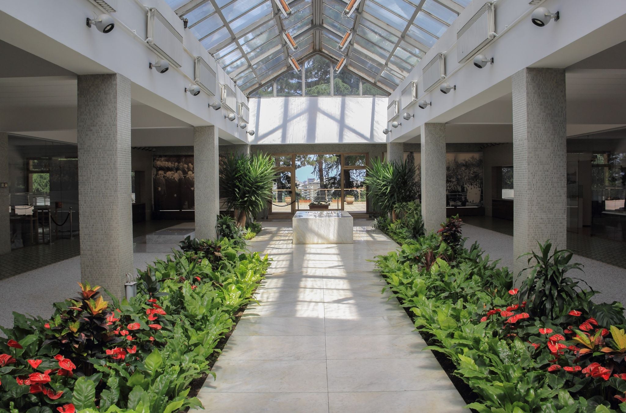 shutterstock_1986499283 (1).jpg