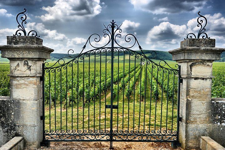 Saint Emilion Half-Day Trip with Wine Tasting & Winery Visit from Bordeaux