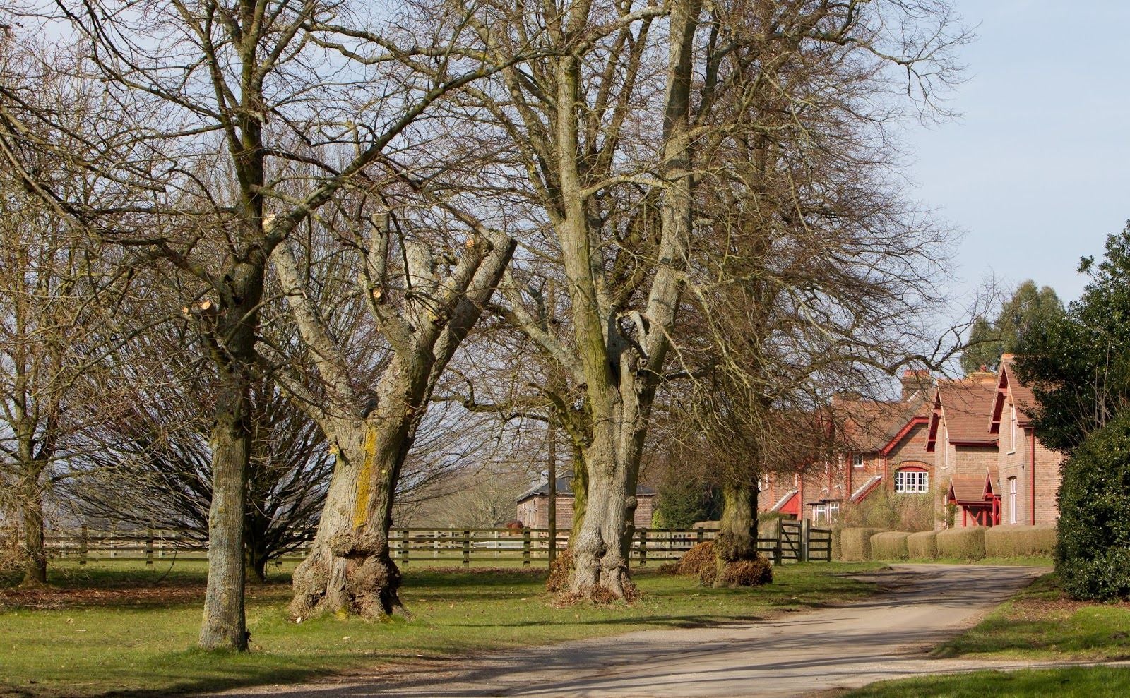 Luton Hoo Estate, Hyde, Central Bedfordshire, East of England, England, United Kingdom
