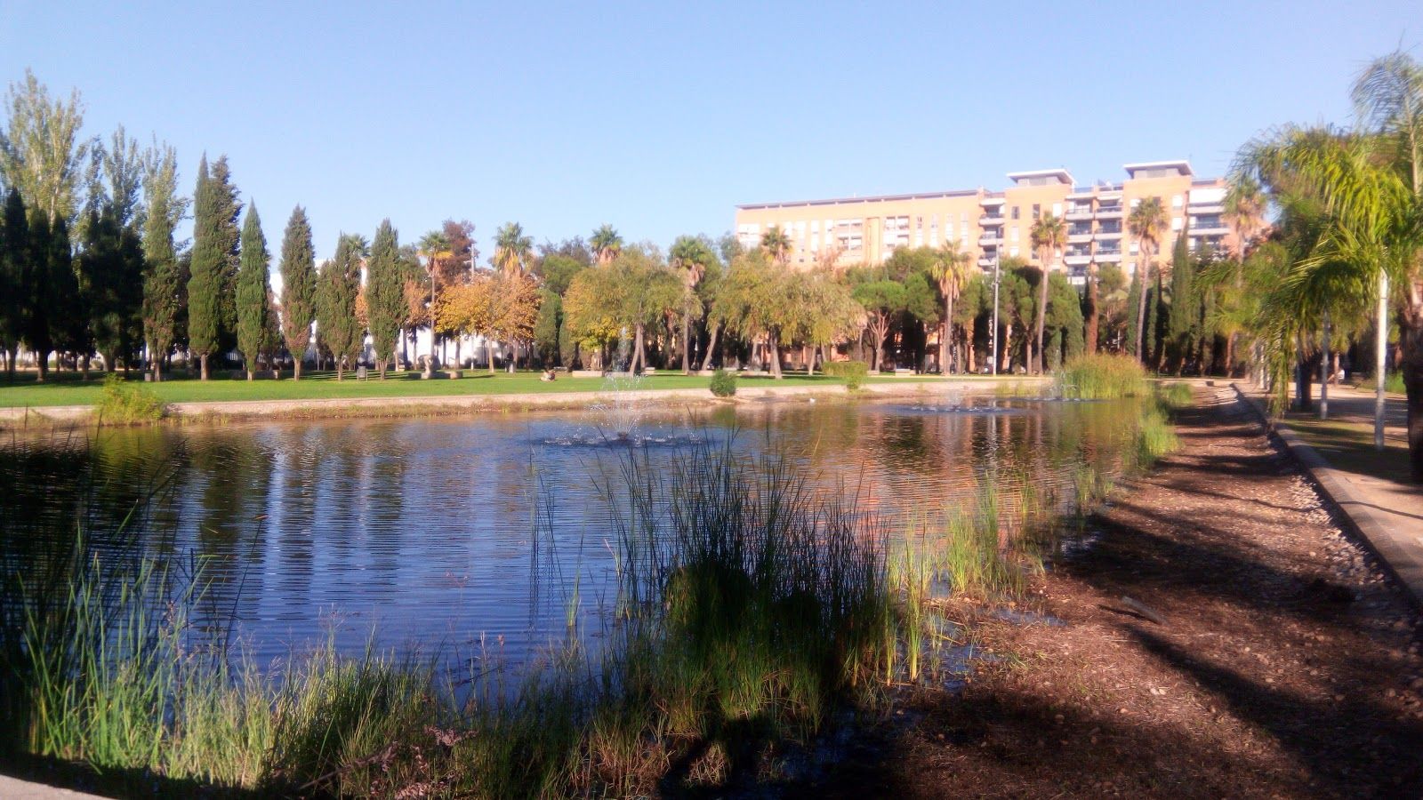 Zafra Park, Huelva, Comarca Metropolitana de Huelva, Andalusia, Spain