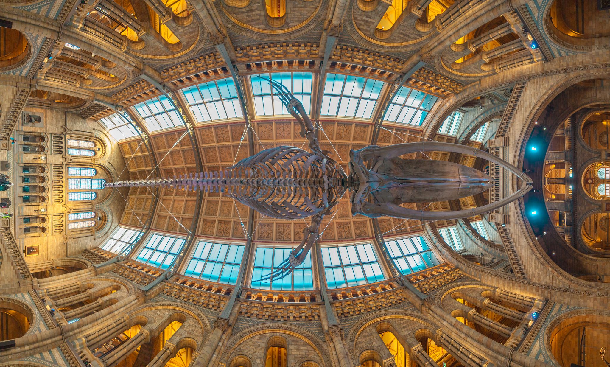 Photo of the the interior of Natural History Museum that is one of the most favorite museum for tourists in London.