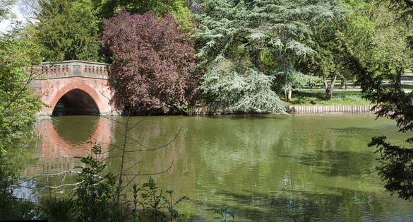 Photo of Sunny day at Cannon Hill Park, Birmingham, UK.