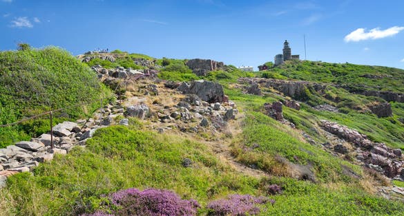 Photo of Kullaberg natural sea coast and lighthouse in summer season, Sweden.