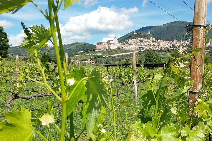 Pic nic Deluxe Assisi for 2 and wine tasting 5 wines