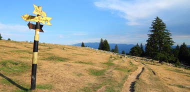 Piatra Craiului National Park Private Hiking Tour from Brasov
