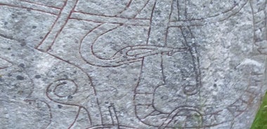 City walk 1h - Runes and rune stones in Uppsala