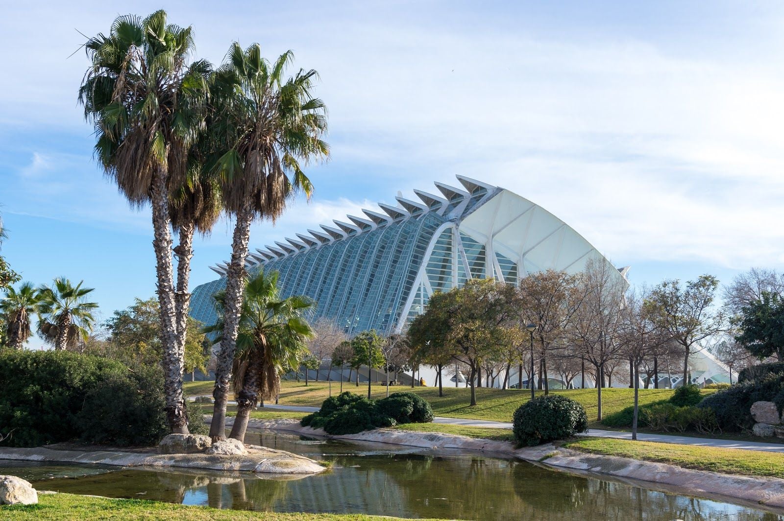 Jardí del Túria, Ciutat Vella, Valencia, Comarca de València, Valencian Community, Spain