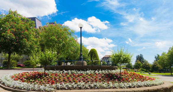 photo of beautiful Montbenon park with fantastic blue sky in Lausanne, Switzerland.