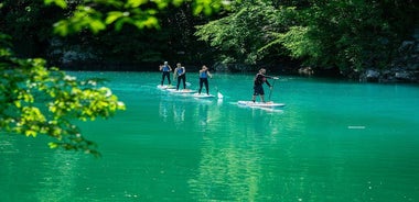 Half-Day Private SUP along Soca River