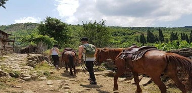Amazing Horse Riding Experience at Vjosa National Park in Permet