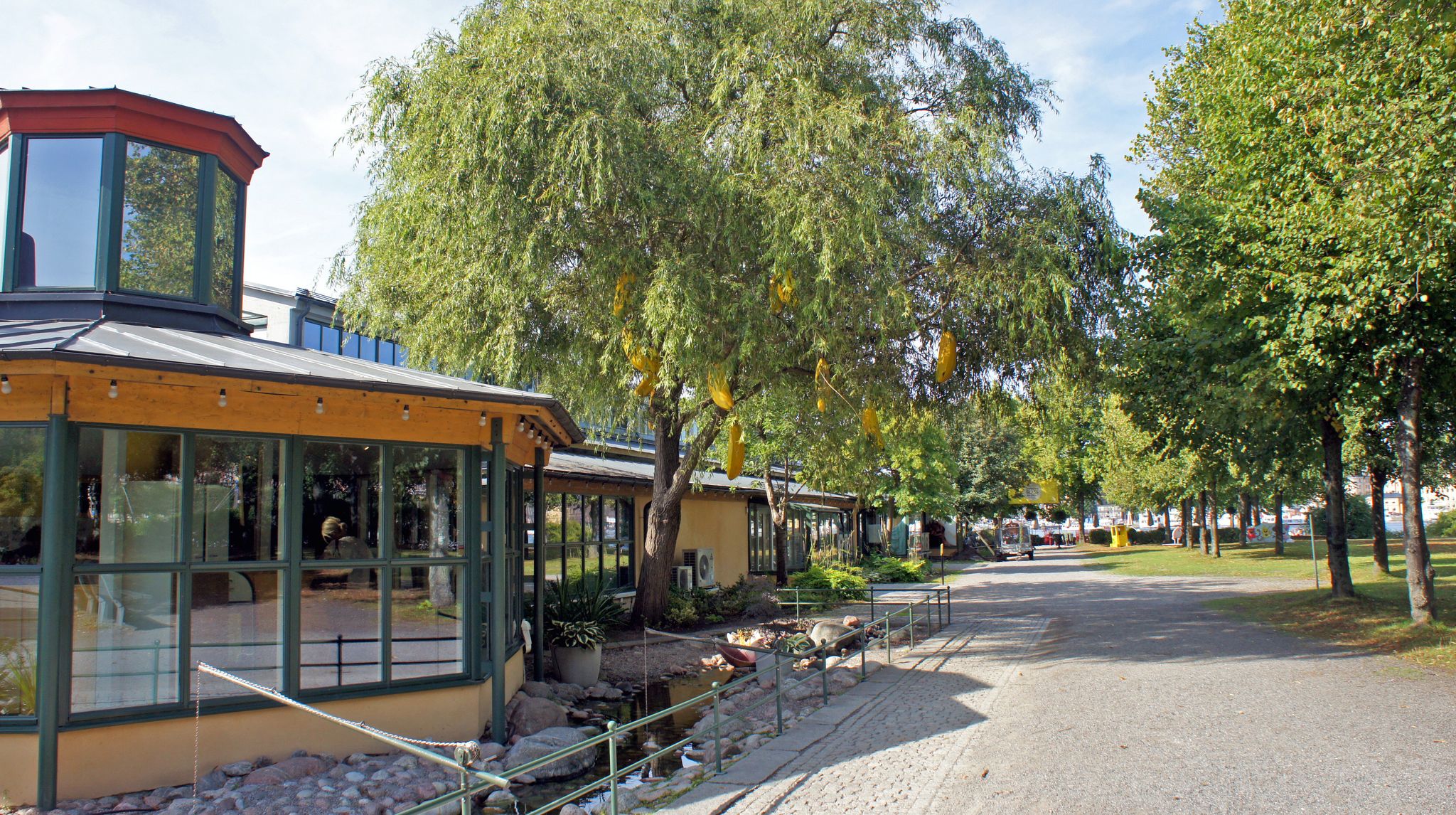 photo of banana tree near Junibacken kids museum, sunny day, the museum is devoted to Swedish children's literature, especially Astrid Lindgren, Stockholm, Sweden.