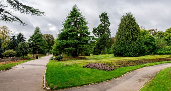 Photo of A junction of two pedestrian alleys in Hazlehead park, Aberdeen, Scotland .