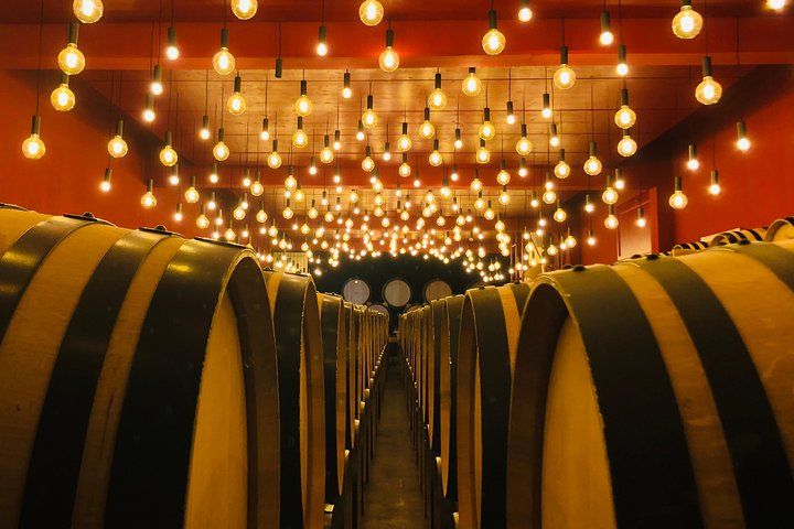 Vin et Vélo (Wine & Wheels) wine and culture tour on e-bike