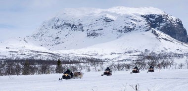 Snowmobile Safari in the mountains of Helgeland!