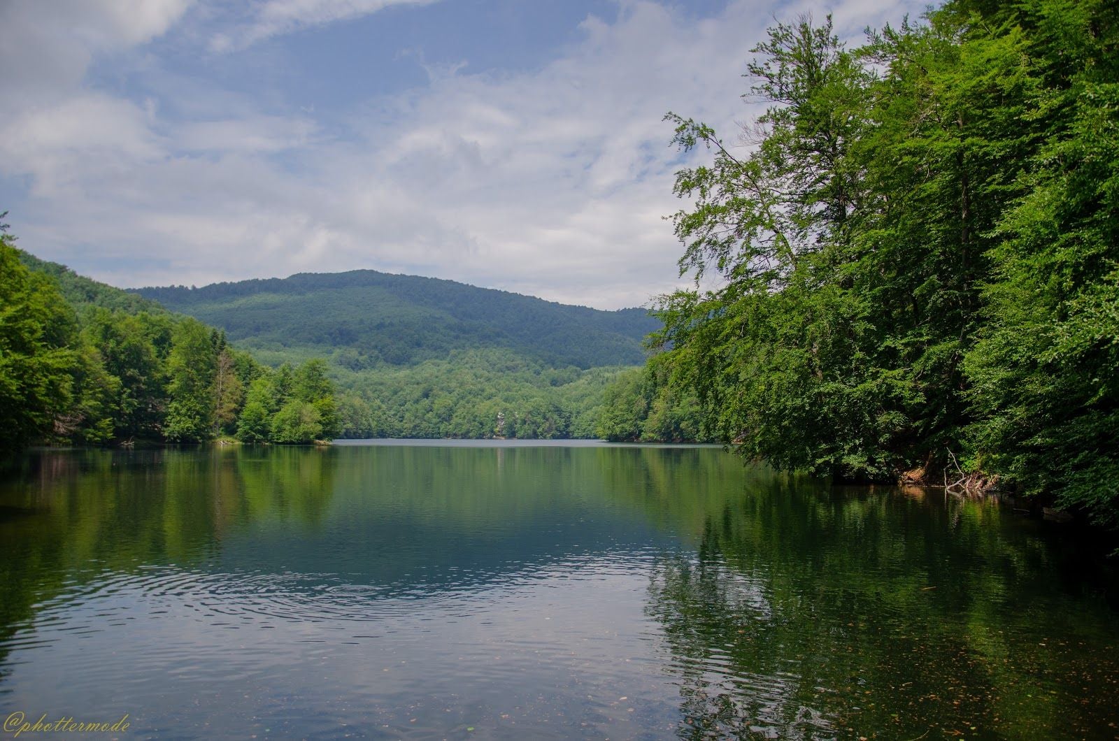 Vihorlat Protected Landscape Area, Valaškovce-Sever, Valaškovce (vojenský obvod), District of Humenné, Region of Prešov, Eastern Slovakia, Slovakia