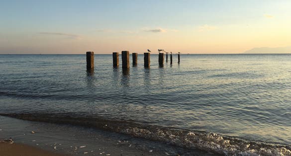 Photo of gulls at a pole in Alexandroupoli beach, Greece.