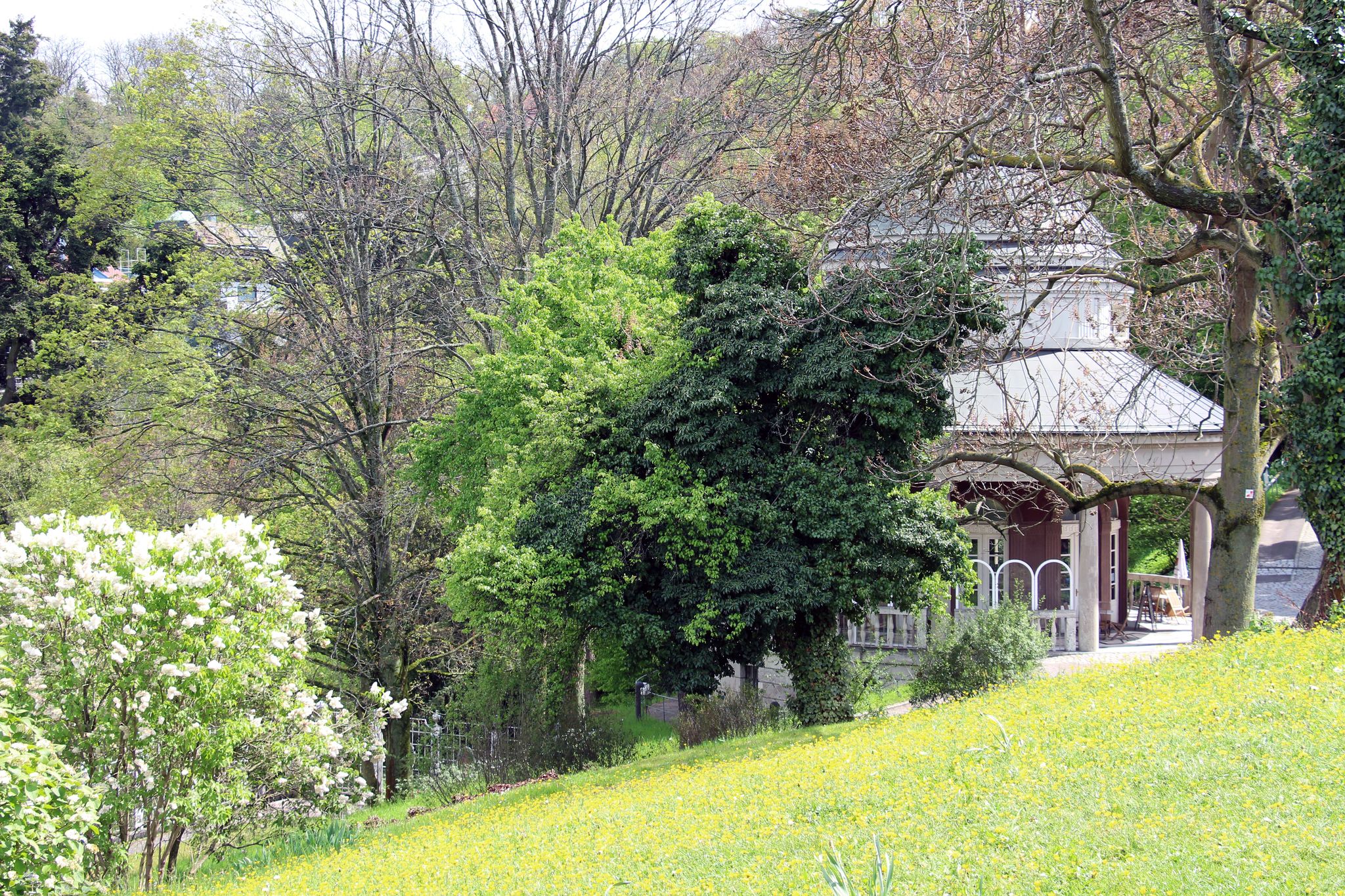 Weißenburgpark travel guide