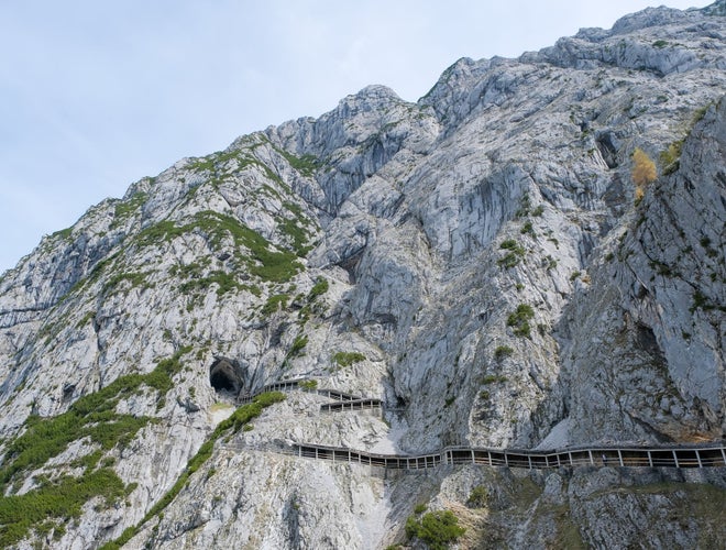 shutterstock_2471346019 (1).jpg