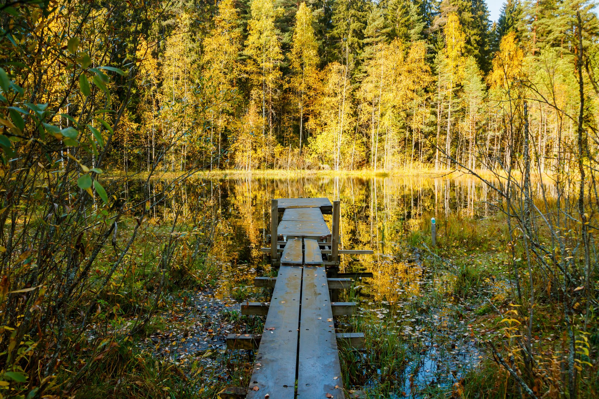 Beautiful autumn landscape on lake Haransilma in Lahti, Finland