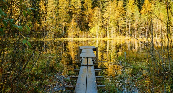 Beautiful autumn landscape on lake Haransilma in Lahti, Finland
