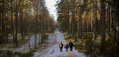 Visaginas: Wild Nature Hiking at Gražutės Regional Park