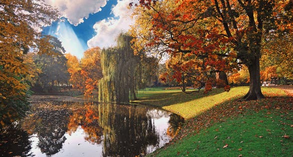 Beautiful autumn morning scene in Rotterdam city park, Netherlands