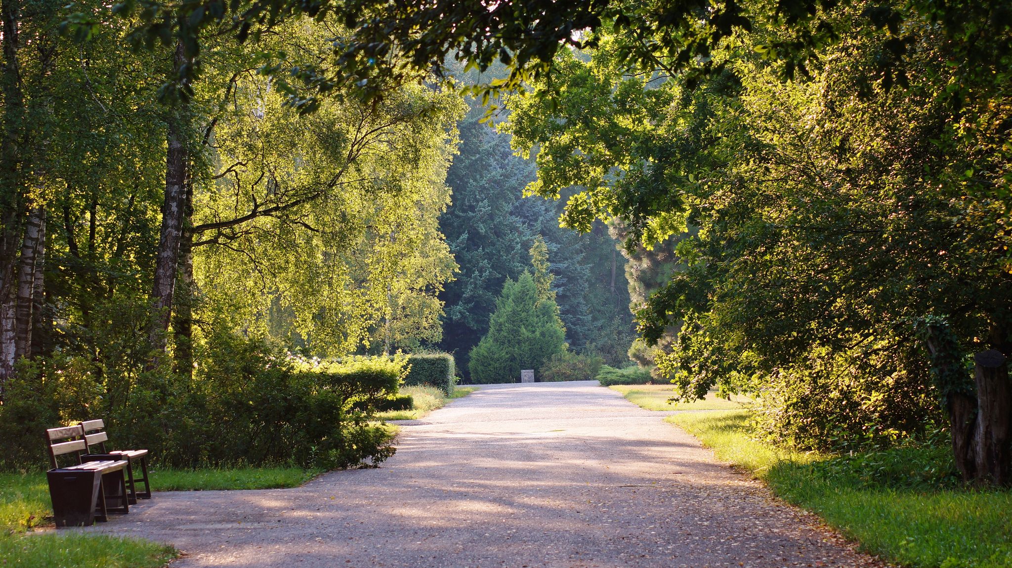 The alley in the shade of the trees - the botanic garden in Lodz