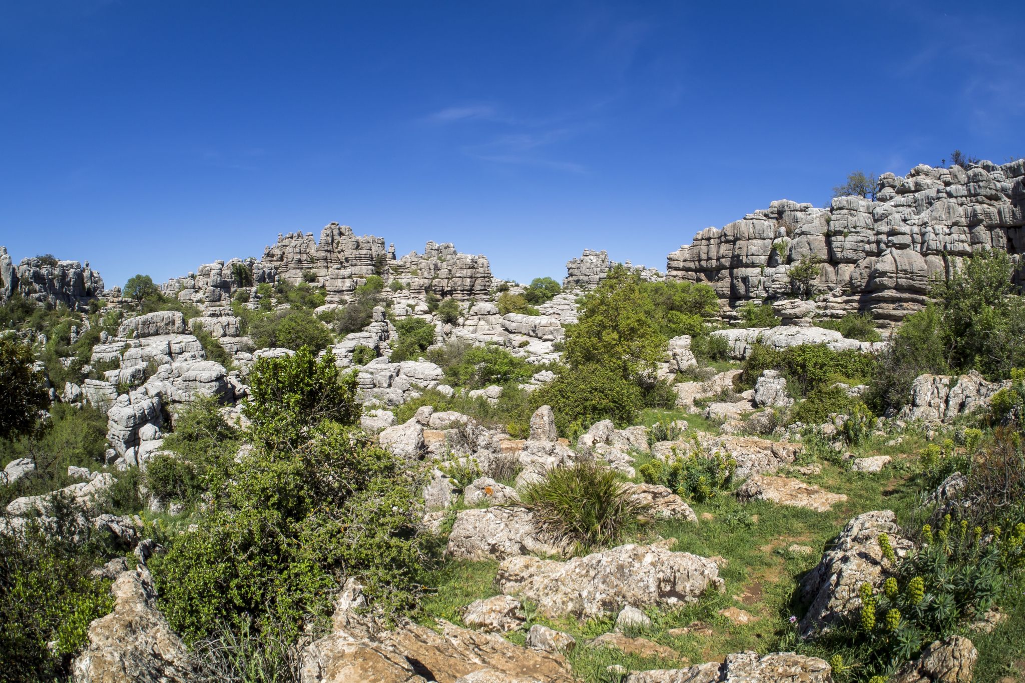Photo of MÃ¡laga Park ,Malaga ,Spain .