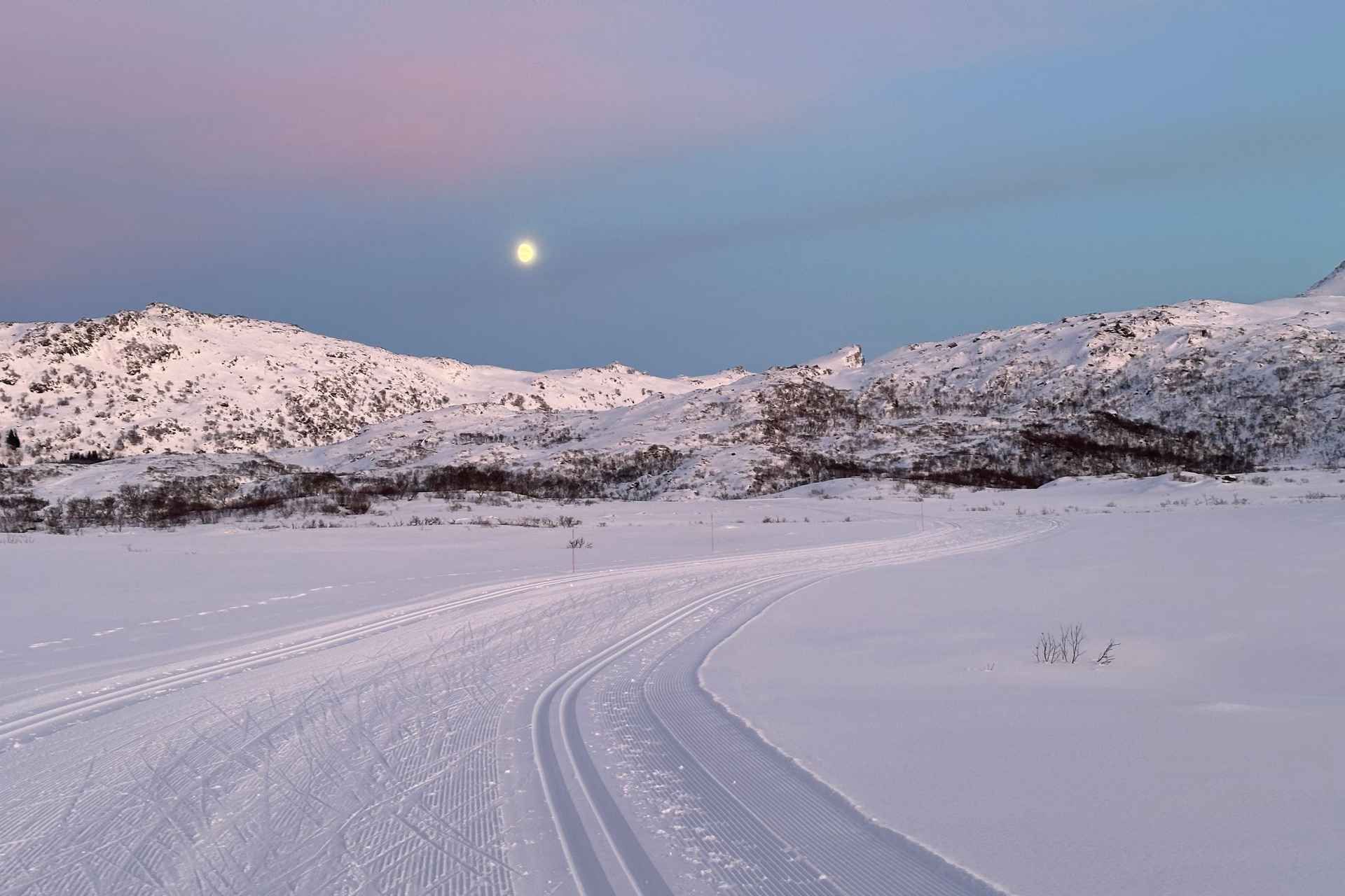 Lofoten: 3 Hour Private Snowshoe Hike with Transfer