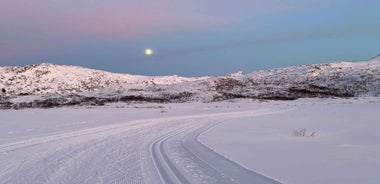 Lofoten: 3 Hour Private Snowshoe Hike with Transfer
