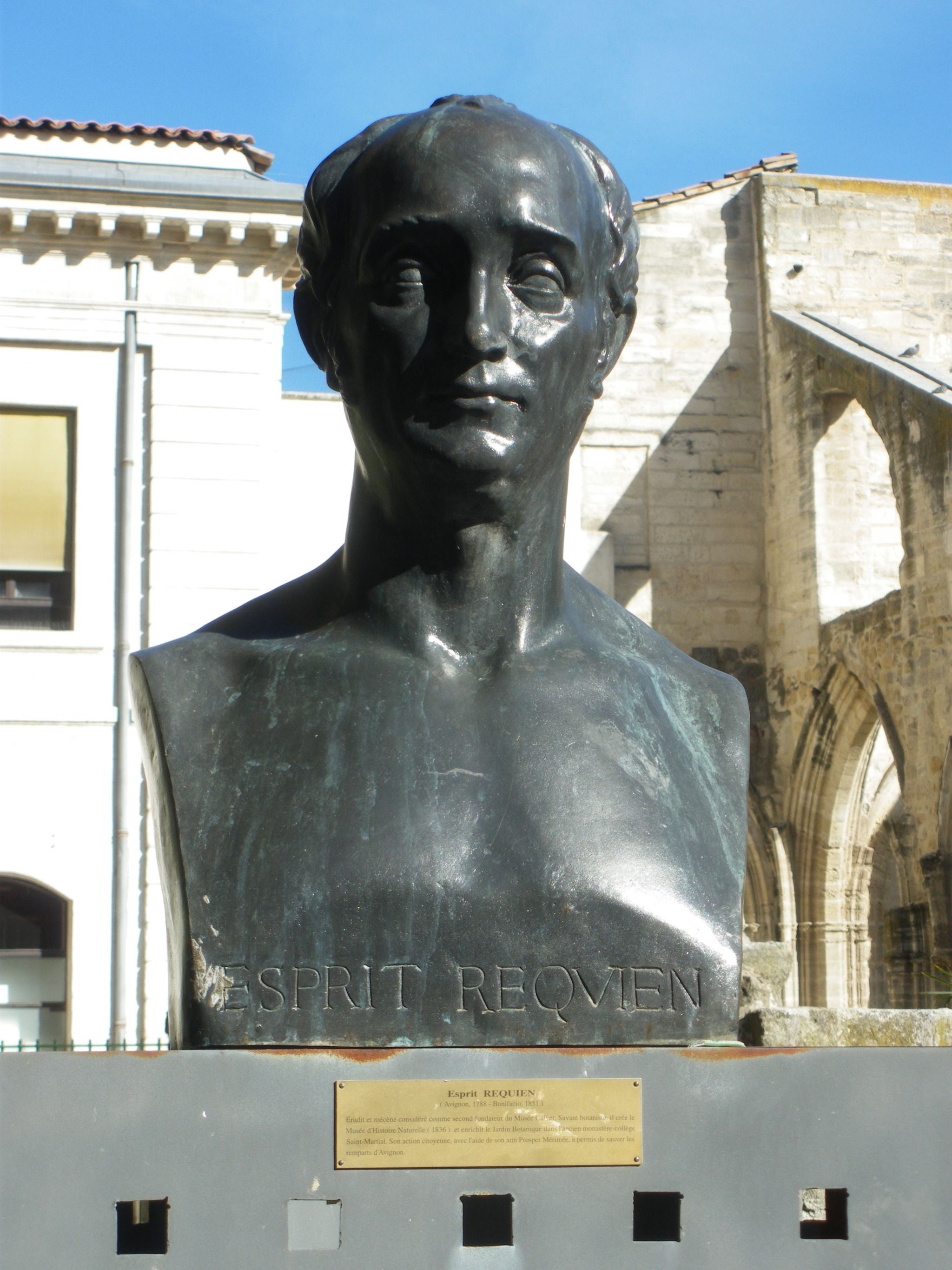 Bust of Esprit Requien in Avignon