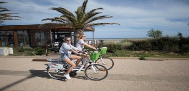 Cagliari E-Bike Tour: Gulf, Canals & Flamingos at Molentargius