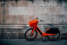 Bike rentals