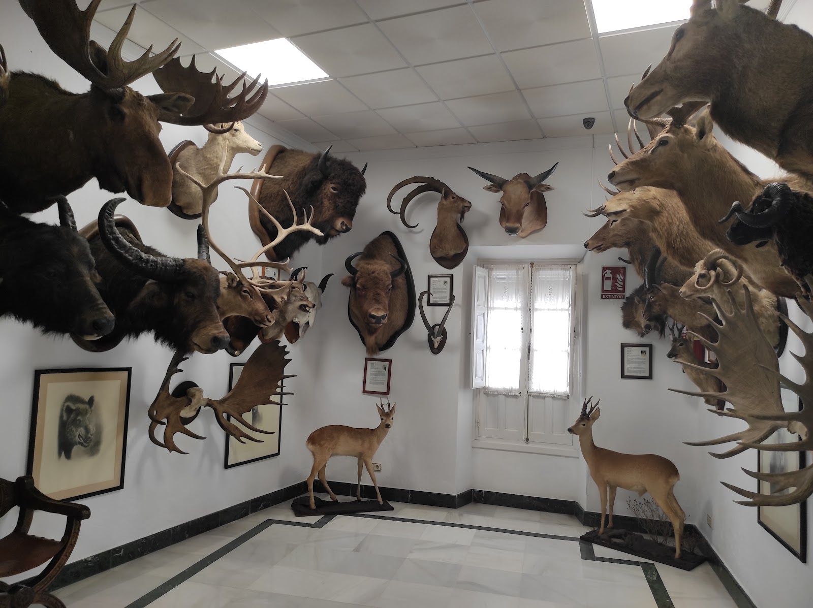 Museo de Ronda, Ronda, Serranía de Ronda, Malaga, Andalusia, Spain