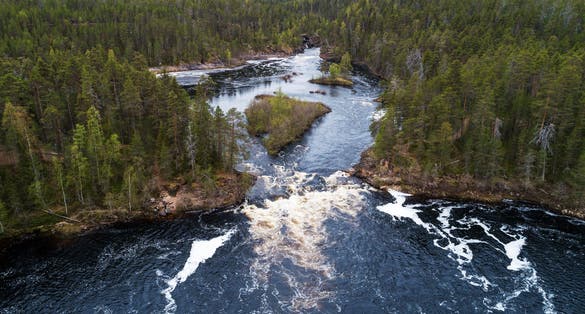 An aerial view of Kiutaköngäs rapids in the northern taiga forest of Finland.