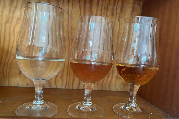 Private Mead-Tasting Experience in Lourdes