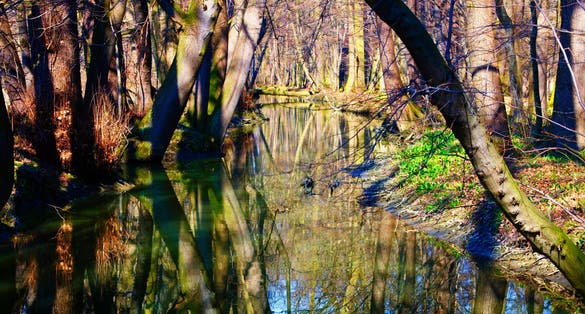 Photo of Polanská niva Nature preserve in Ostrava, Czechia.
