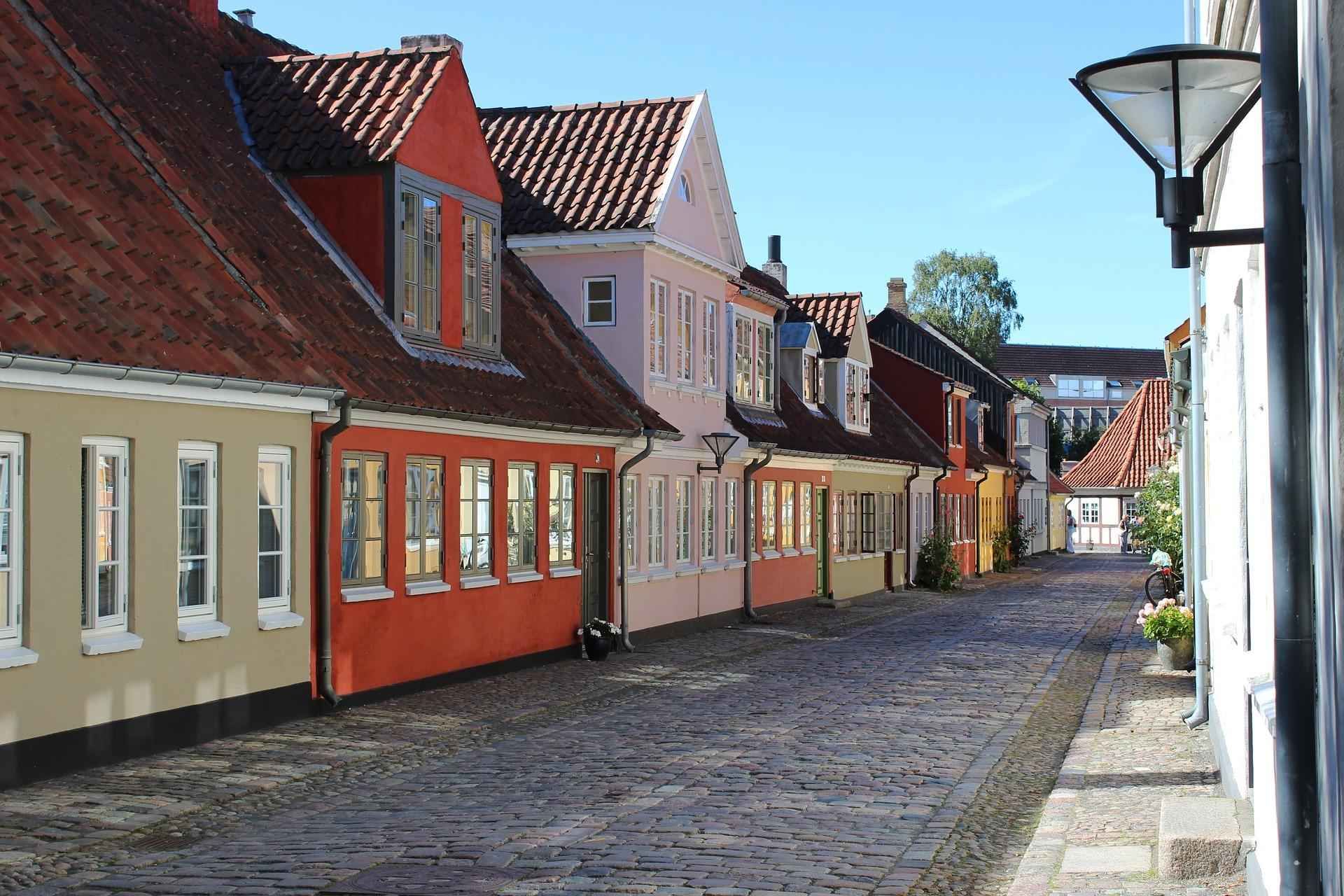 Odense Private Guided Walking Tour