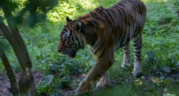photo of view of Zoo Schwerin,Hamburg Germany.