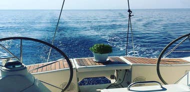 All inclusive Delos & Rhenia Islands tour up to 12 pax (free transportation)