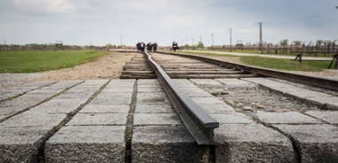 From Krakow: Auschwitz Birkenau Tour with Transfer
