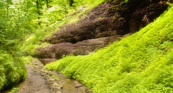 photo of view of Dragoncanyon in the Thuringian Forest .