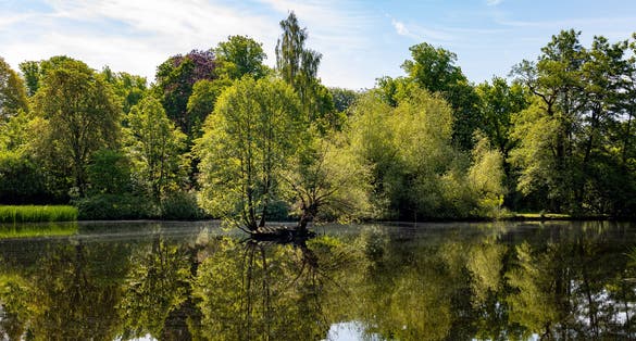 Photo of lush trees and foliage around a pond in Slottsskogen park in Gothenburg, Sweden.